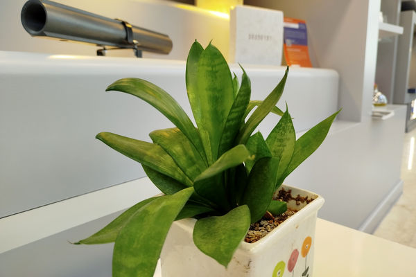 بازدید خبرنگاران پانا از سازمان توسعه فناوری نانو