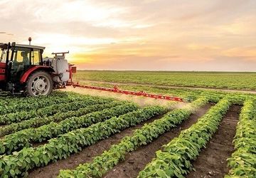 به زودی الگوی کشت به تمامی استان ها ابلاغ می شود