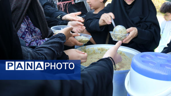 جلوه‌های خدمت‌رسانی به عاشقان اباعبدالله(ع)