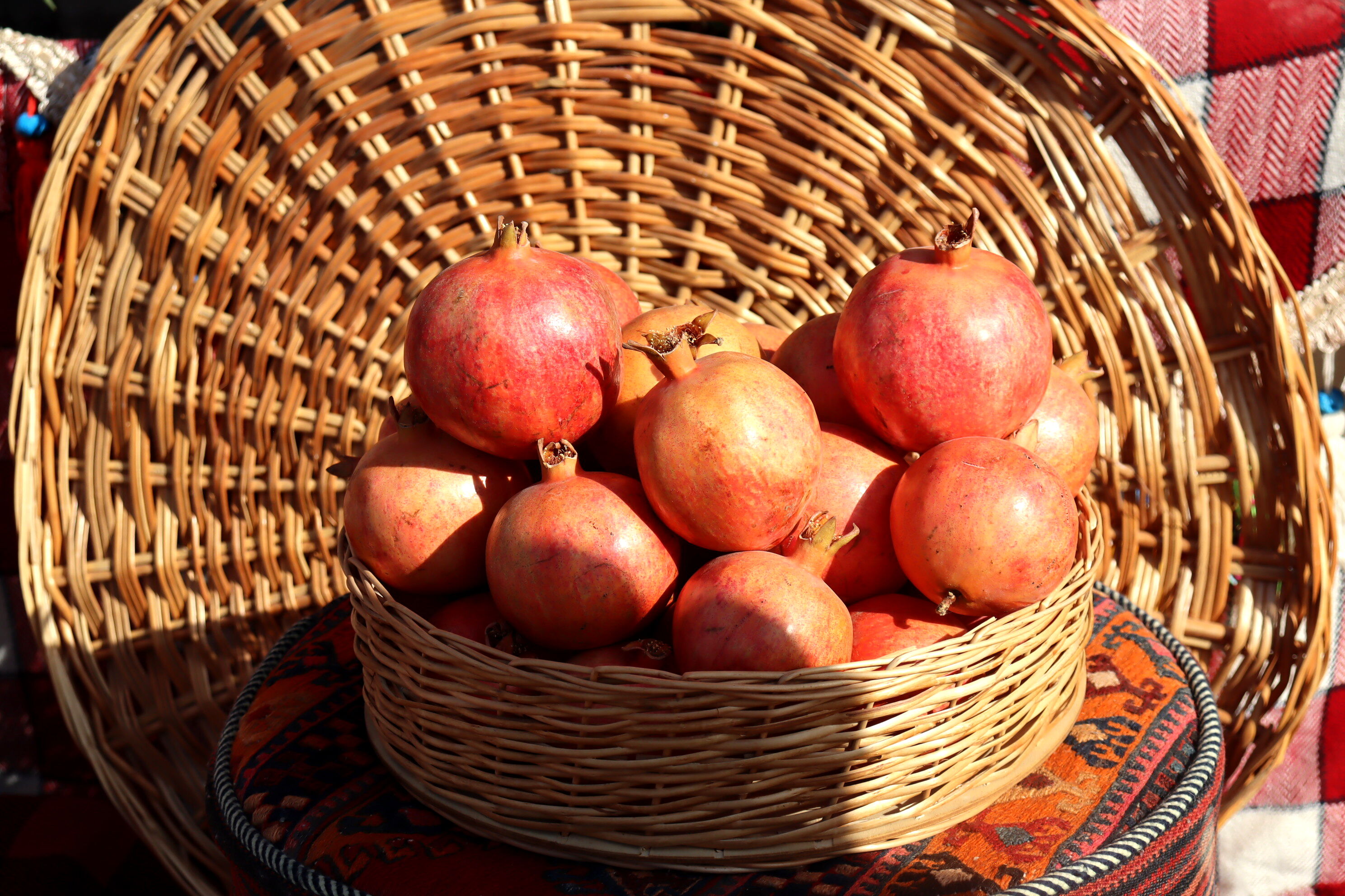 کوهدشت میزبان جشن سرخ زاگرس 