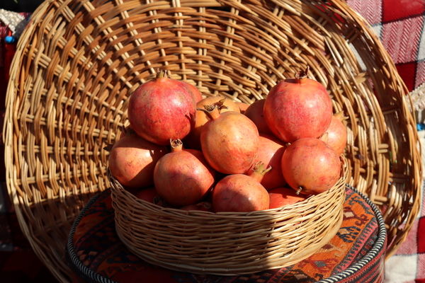 کوهدشت میزبان جشن سرخ زاگرس 