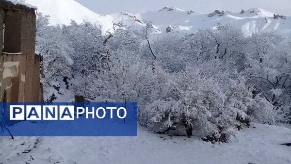 بارش برف در روستای اصقول سربیشه