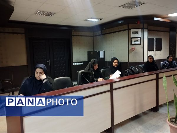  کارگاه بهداشت سلامت روانی خانواده و فرزند پروری در میاندورود 