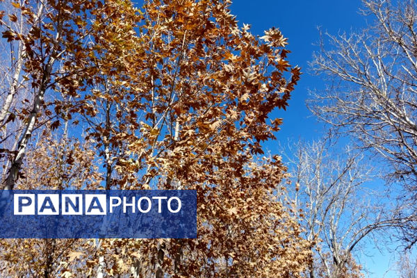 خزان زیبا در کوچه باغ‌های شهر بهمن