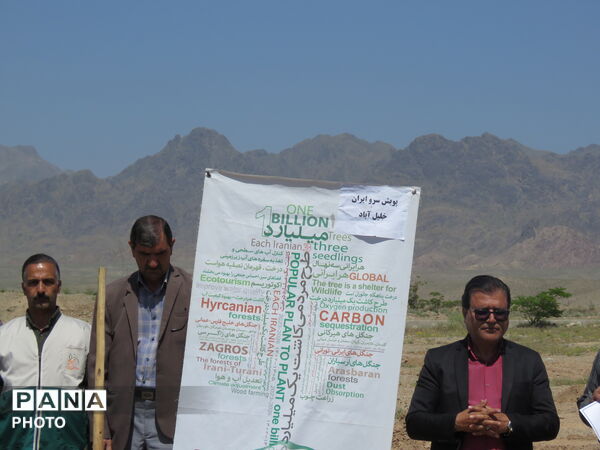 آیین "درخت سرو ایران" در شهرستان خلیل آباد 