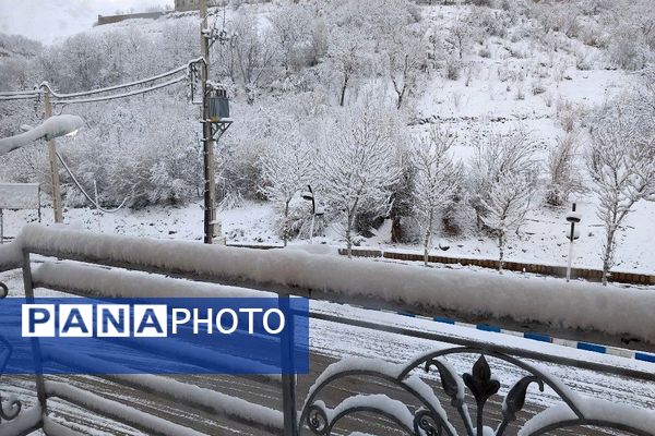 آلبوم تصویری از برف در طبیعت شهر بار 
