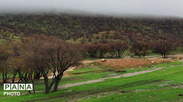 نگین سبز زاگرس 