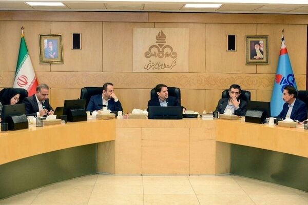 ضرورت به کارگیری ظرفیت شرکت‌های پتروشیمی در جهت واردات با هدف تأمین نیاز داخل
