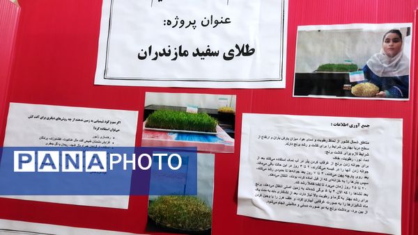 افتتاح نمایشگاه جابربن‌حیان در دبستان شهید احمدپور قائمشهر