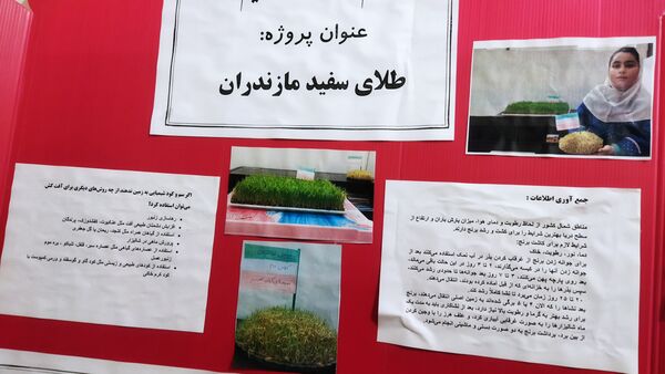 افتتاح نمایشگاه جابربن‌حیان در دبستان شهید احمدپور قائمشهر
