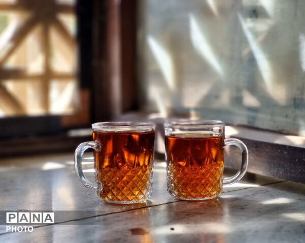  اردوی تربیتی-تشکیلاتی «طلایه‌داران» در نیشابور