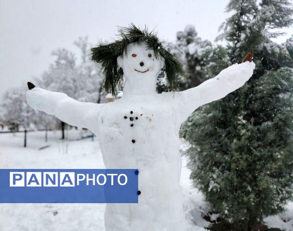 بارش دل‌انگیز برف‌ در اولین روزهای بهمن ماه