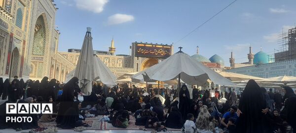 از کوچه تا حرم؛ هجومِ جمعیتِ عاشق در مسیرِ ردپای معصومین