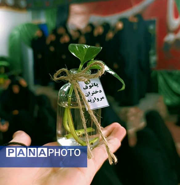 پاتوق مروارید در حسینیه ابوطالب (ع)