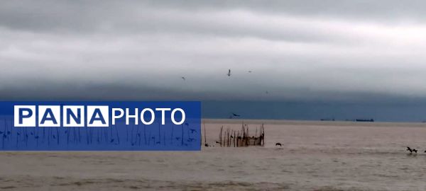 باران، چهره بندرعباس را تازه کرد