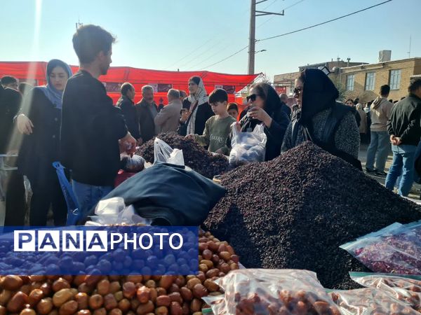 دومین جشنواره زرشک سیاه در روستای تیل شهرستان شبستر