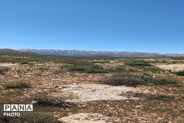 آلبوم تصویری از طبیعت زیبای شهر بار در اردیبهشت‌ماه  ۱۴۰۵ -1