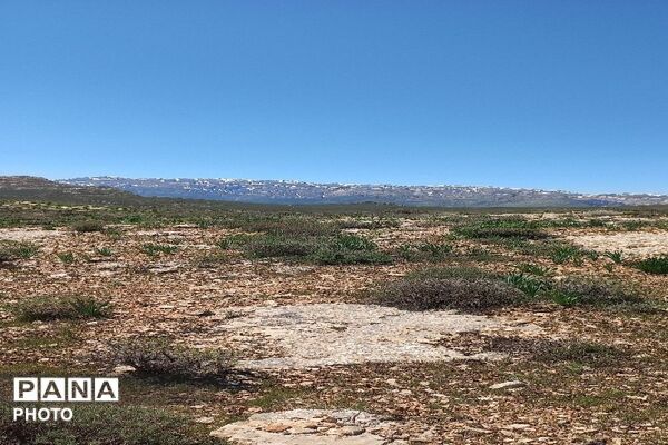 آلبوم تصویری از طبیعت زیبای شهر بار در اردیبهشت‌ماه  ۱۴۰۵ -1