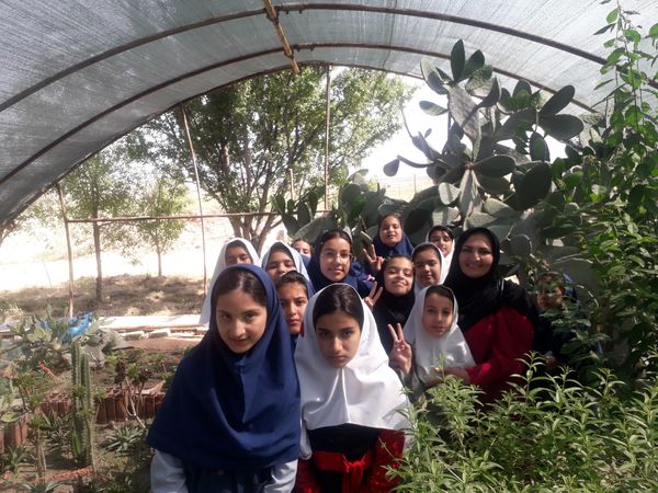 بازدید دانش‌آموزان مدرسه شهید خاقانی از گلخانه پیشه‌وران شیروان