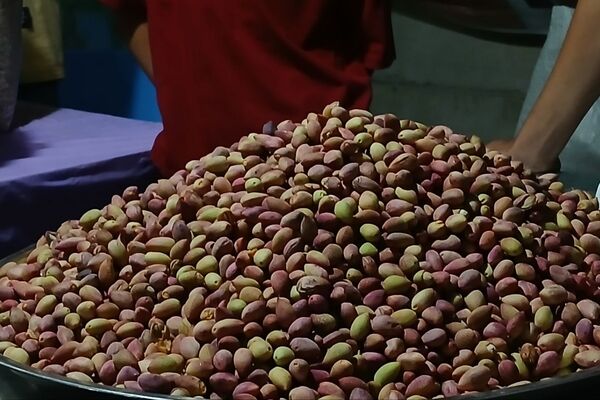 آغاز معاملات پسته در بورس کالا از ۳ شهریور