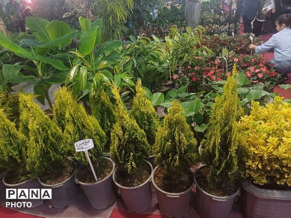 نمایشگاه گل و گیاه و سوغات در همدان