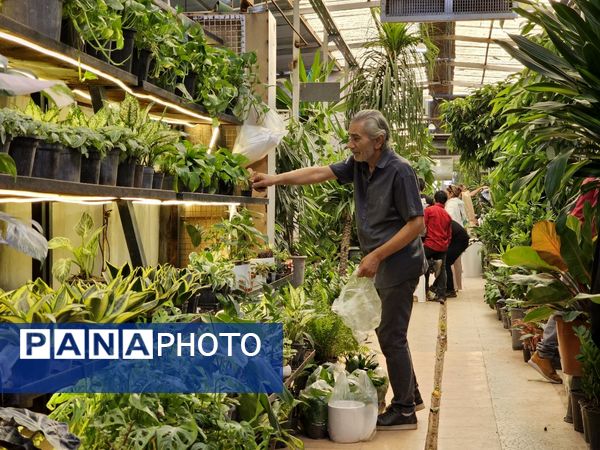 حال و هوای خاص در بازار گل محلاتی