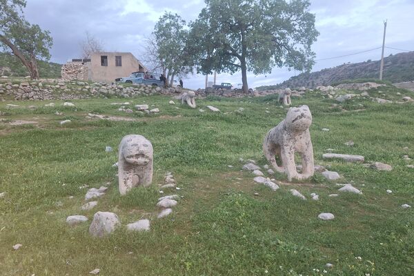 قبرستانی تاریخی و سرسبز به قدمت چند صد ساله در فارس
