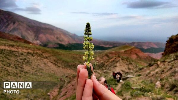 کوه های زیبای تخت پلنگ نیشابور 