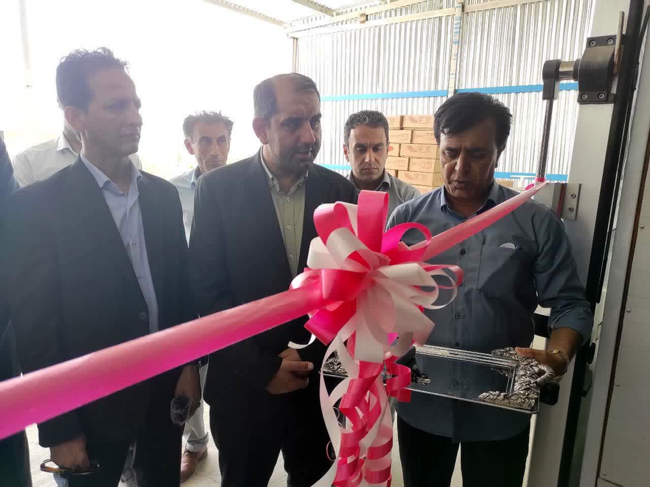 افتتاح ۱۲۰ میلیارد تومان طرح کشاورزی در قلعه‌گنج به مناسبت هفته دولت