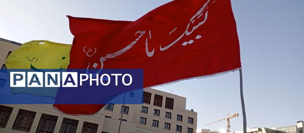 حال و هوای زائرین عزادار حرم مطهر امام رضا(ع)