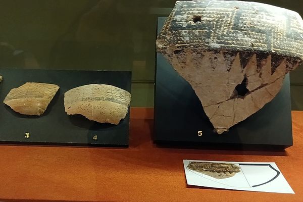 از دریچه روایت مدرسه به تاریخ ایران