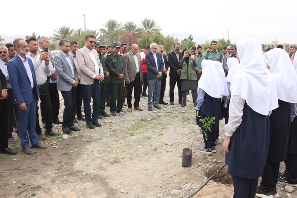 روز درختکاری در رودان