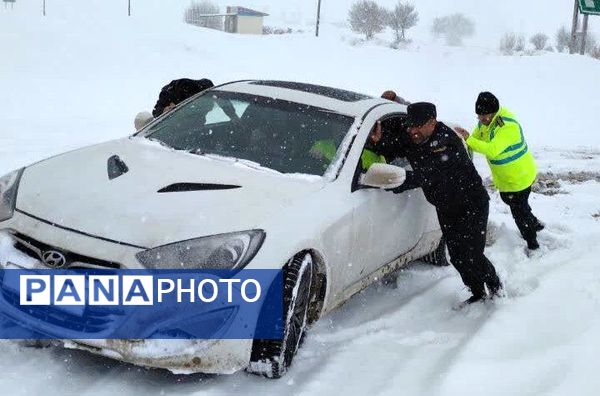 قابِ سفیدِ زمستان فـیـروزکــوه