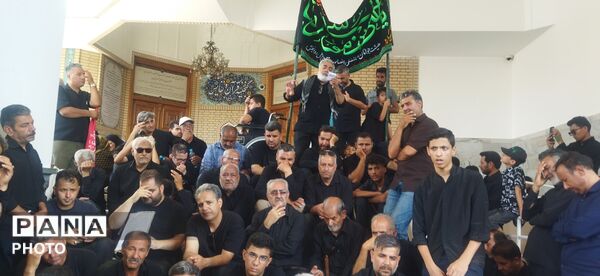 مراسم سینه زنی و عزاداری امام رضا علیه السلام توسط هیئات کاشمر 