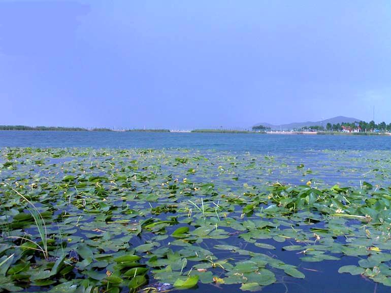 سراب نیلوفر کرمانشاه 