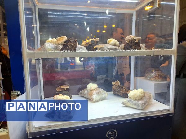 روز سوم از نمایشگاه پژوهش و فناوری در مشهد