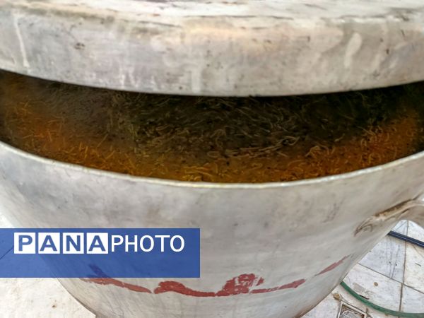 سه شنبه های مهدوی