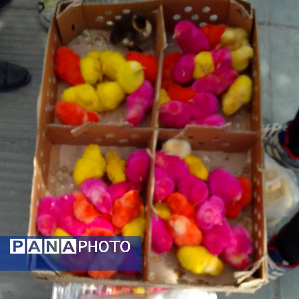 جاذبه‌های دیدنی شهرکرد برای عید نوروز