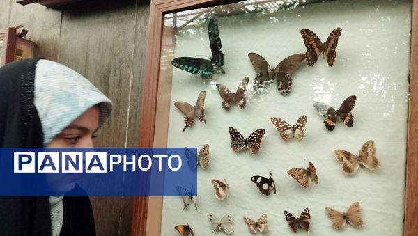 اردوی علمی تفریحی خبرنگاران پانای استان اصفهان