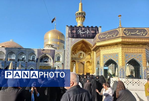 حال و هوای حرم مطهر رضوی در روز شهادت امام رضا(ع)