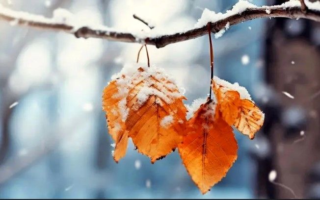 سامانه بارشی در ۱۰ استان فعال شد/بارش اولین برف پاییزی