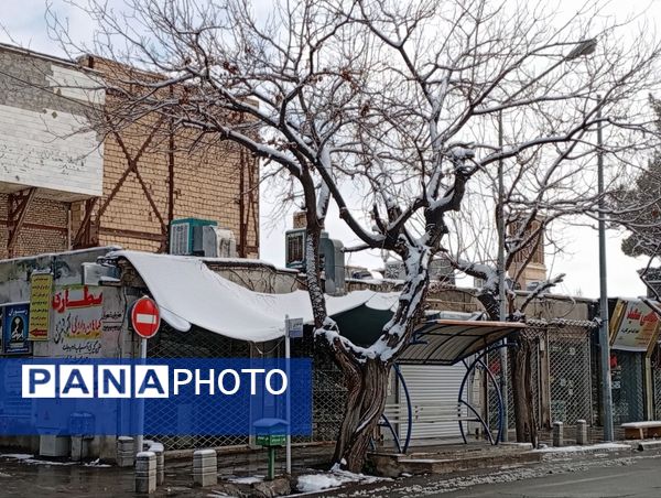 برف میهمان کاشمر شد