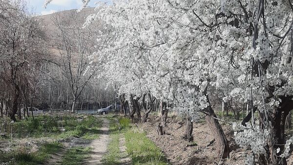 دهکده زراس، بهشت گمشده خوزستان