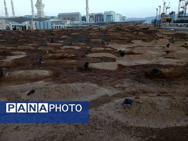 زیارت خبرنگار پانا از قبرستان ائمه بقیع