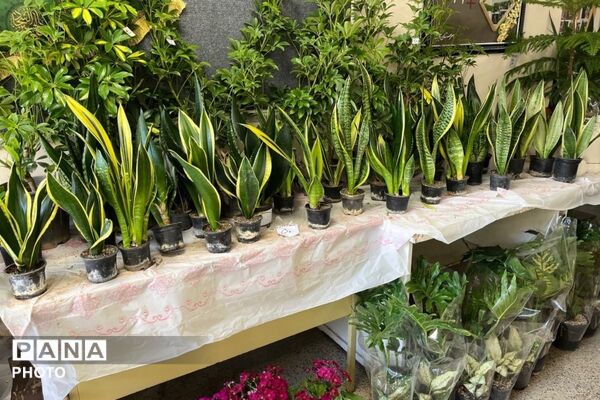 عطر گل‌ها و رنگ هنر در مدرسه فنی‌وحرفه‌ای هجرت به هم آمیخت