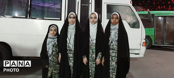 تجمع دفاع از انقلاب مهدوی