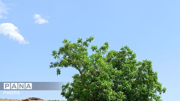 طبیعت در دل روستای برزنون،حال و هوای این دیار از قاب پانا