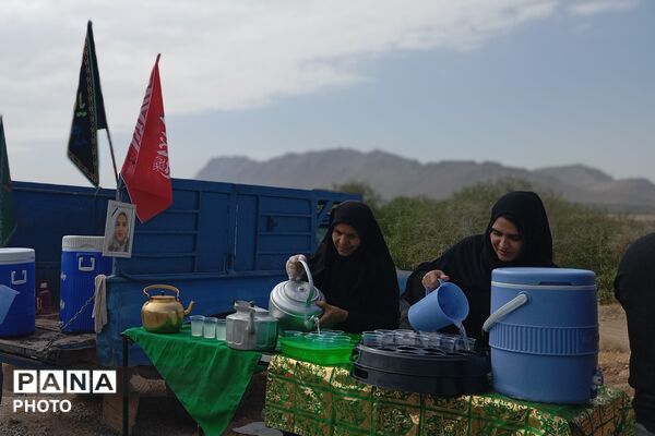 از بابامحمود تا باباپیراحمد؛ میعادگاه جاماندگان اربعین در شهرستان بن