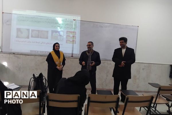 آموزش بهداشت مدارس به معلمان ابتدایی در دانشگاه آزاد اسلامی ملارد 