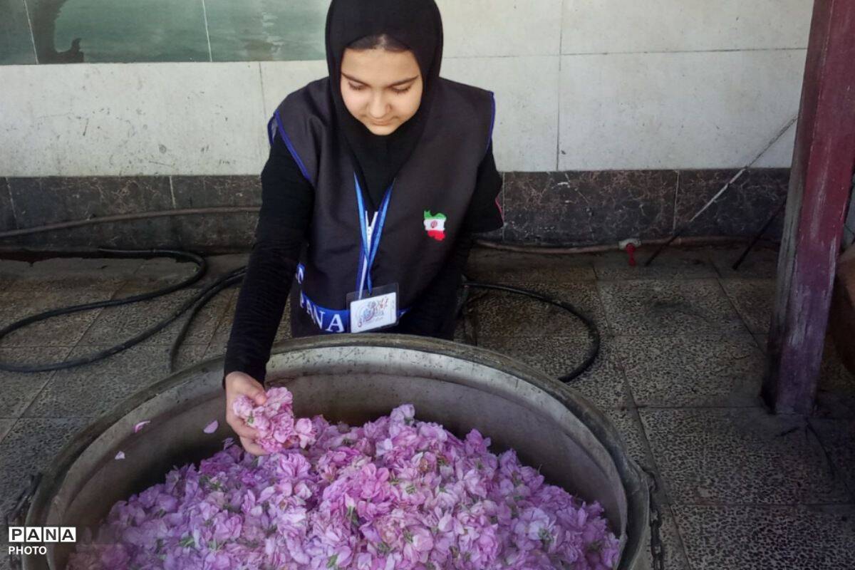 از گل محمدی تا داروهای گیاهی؛ جشنواره‌ای با عطر سلامتی در رباط‌کریم